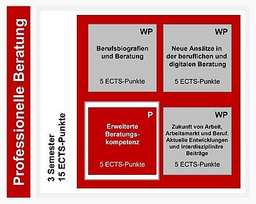 Aufbau des Zertifikatsprogramms „Professionelle Beratung“. Das wissenschaftliche Weiterbildungsprogramm besteht aus dem Pflichtmodul „Erweiterte Beratungskompetenz“ und drei weiteren Wahlpflichtmodulen: 1)Berufsbiografien und Beratung, 2) Neue Ansätze in der beruflichen und digitalen Beratung, 3) Zukunft der Arbeit, Arbeitsmarkt und Beruf. Aktuelle Entwicklungen und interdisziplinäre Beiträge