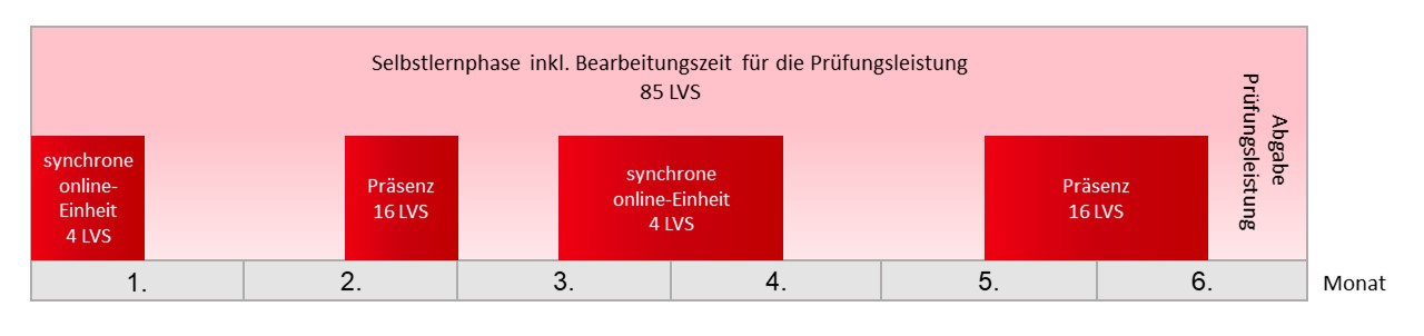 Aufbau und Ablauf der Wahlpflichtmodule im Zertifikatsprogramm Professionelle Beratung mit einer Dauer der Module von sechs Monaten. Synchrone Online- und Präsenzveranstaltungen im Gesamtumfang von 40 Stunden. Darüber hinaus verteilt sich die Selbstlernphase mit 85 Stunden auf die gesamte Zeit von dem Beginn bis zum Ende der Module.