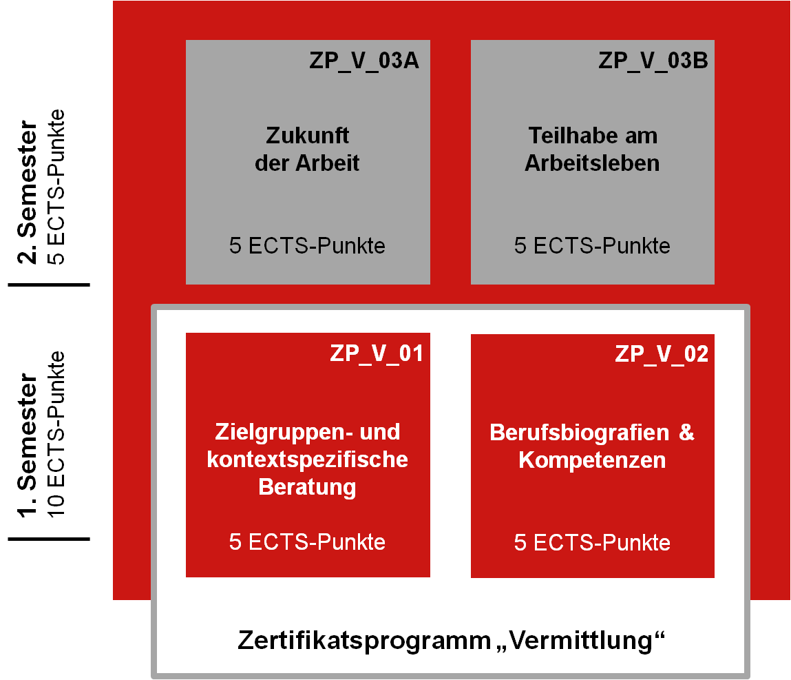 Grafik Curriculare Darstellung des Zertifikatsprogramms „Vermittlung"